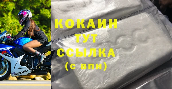 ешки Аркадак